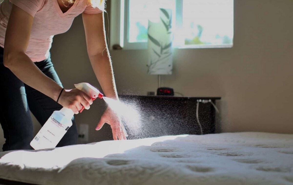 Sabroso Microbio salvar Cómo limpiar un colchón - Información útil y práctica sobre colchones