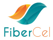 PROGRESSION-FIBER.jpg