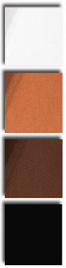 p38000color_1.jpg