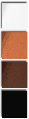 p38000color_1.jpg